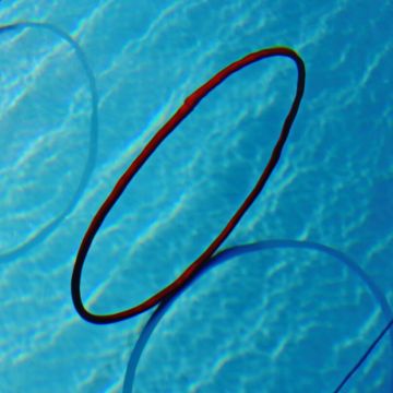 tanga sports® Diving Hoop